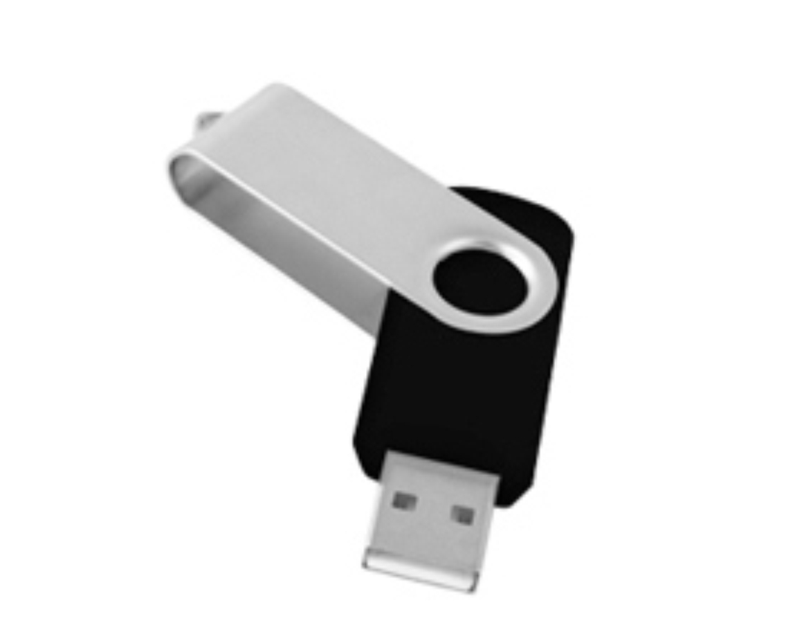 MEMORIA USB DE 8 GB E016